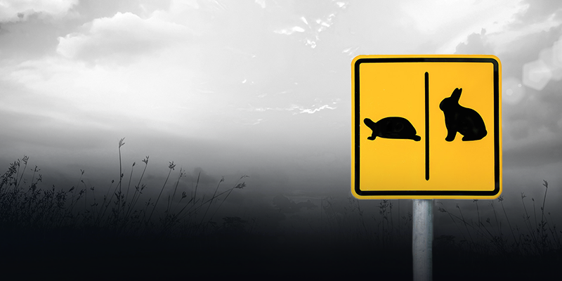 a picture of a turtle and rabbit road sign